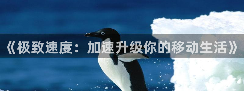小九篮球直播