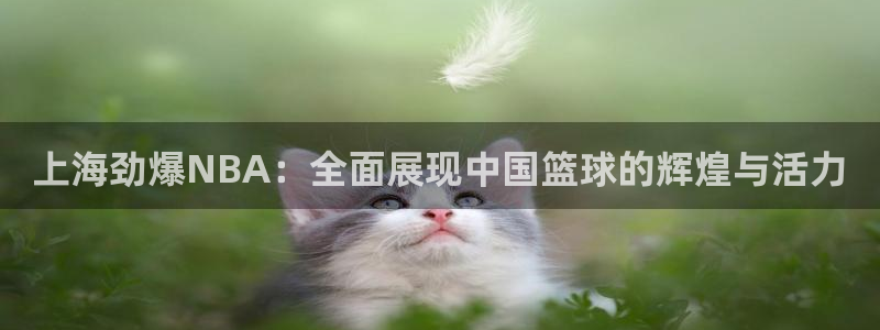 小九足球高清免费直播