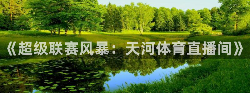nba直播小九直播在线观看：《超级联赛风暴：天河体育直播间》