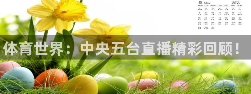 小九直播网站：体育世界：中央五台直播精彩回顾！
