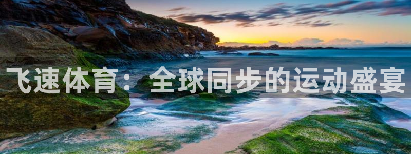 小九直播体育：飞速体育：全球同步的运动盛宴