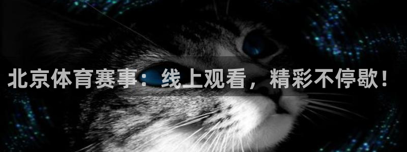 nba直播免费高清直播小九：北京体育赛事：线上观看，精彩不停歇！