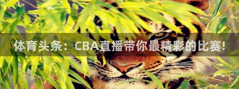 小九直播下载：体育头条：CBA直播带你最精彩的比赛!