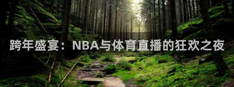 小九nba直播高清免费观看：跨年盛宴：NBA与体育直播的狂欢之夜