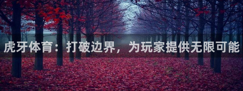 小九直播间足球直播：虎牙体育：打破边界，为玩家提供无限可能