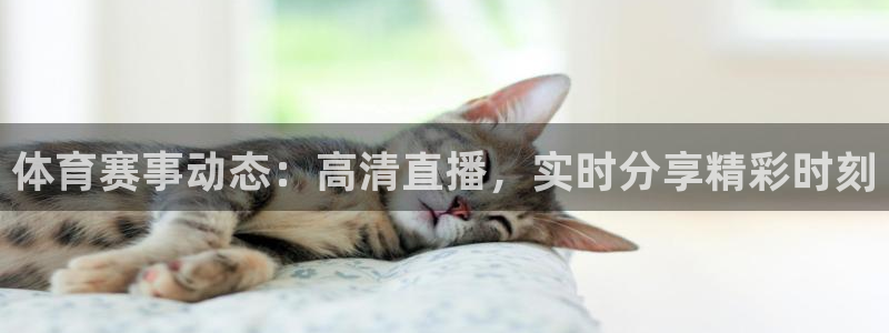 小九直播nba在线观看：体育赛事动态：高清直播，实时分享精彩时刻