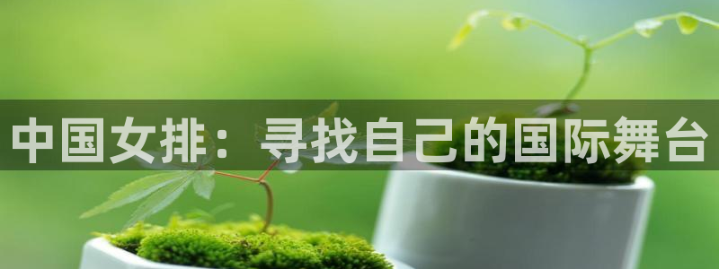 足球小九直播：中国女排：寻找自己的国际舞台