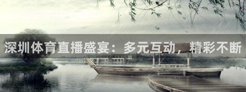 nba直播免费高清直播小九：深圳体育直播盛宴：多元互动，精彩不断